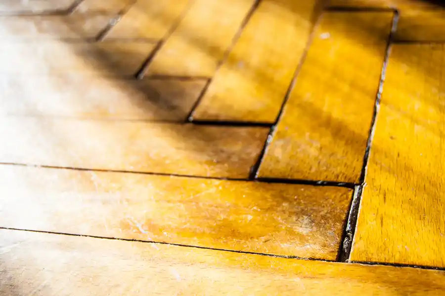 Common Signs Your Hardwood Floors Need Refinishing in Orlando, FL Common Signs Your Hardwood Floors Need Refinishing in Orlando, FL